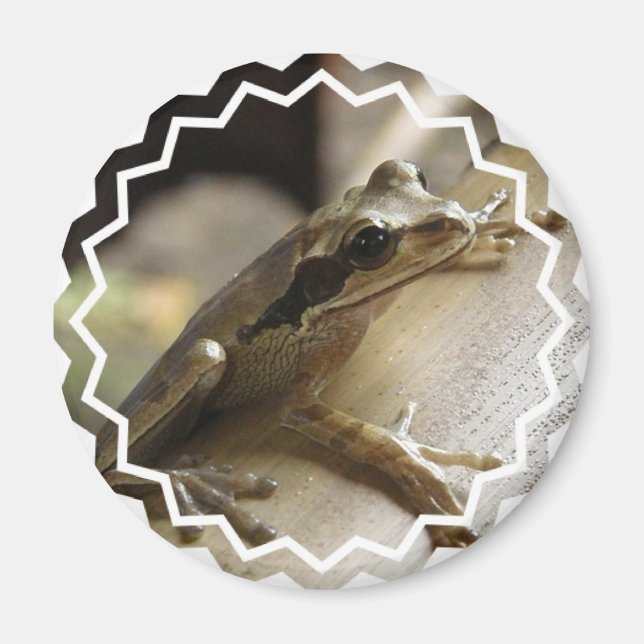 Íman Sapo Magnético (Frente)