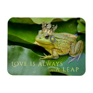 Íman Sapo Prince no Lily Pad