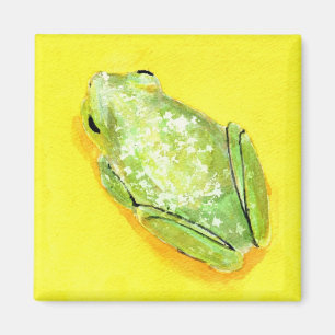 Íman Sapo verde no watercolour amarelo do fundo