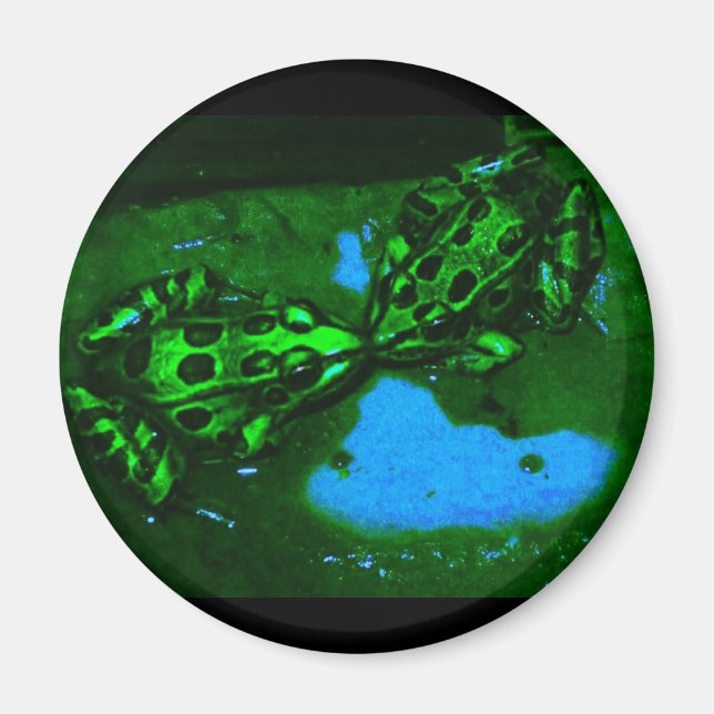 Íman sapos kissy (Frente)