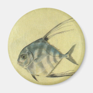 Íman Saramunete de Threadfin Vintage, Peixe Pompano Afr