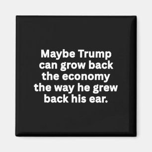 Íman Sátira engraçada e sarcástica anti-Trump humor pol