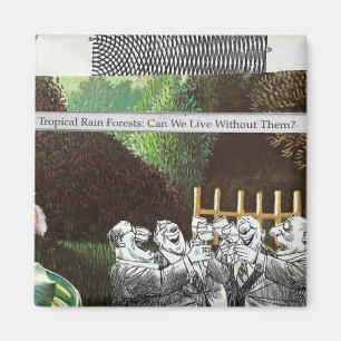 Íman Sátira Engraçado da Piada Política Florestal sobre