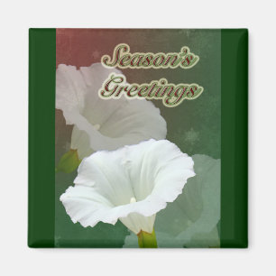 Íman Saudações da temporada - Branca de Bindweed