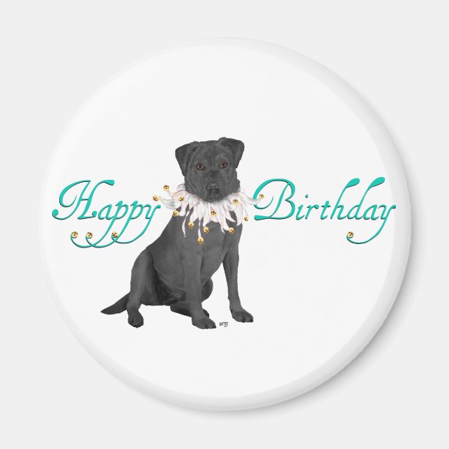 Íman Saudações de Aniversário do Labrador Retriever (Frente)