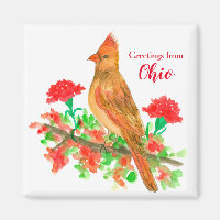 Saudações do Cardinal State Bird de Ohio