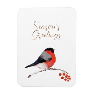Íman Saudações do Seasons com o Bullfinch Card reformul