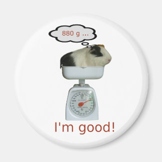 Íman Saúde do Porco da Guiné