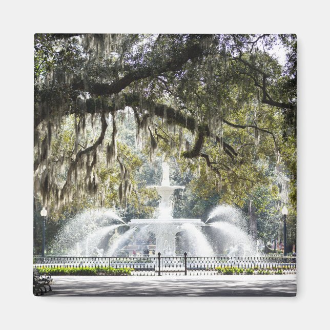Íman Savannah Forsyth Fountain Magnet (Frente)
