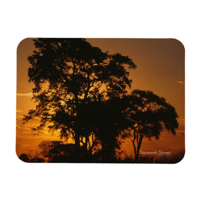 Íman Savannah Sunset Fotografia Magnet (Horizontal)