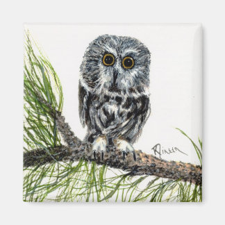 Íman Saw Whet Owl