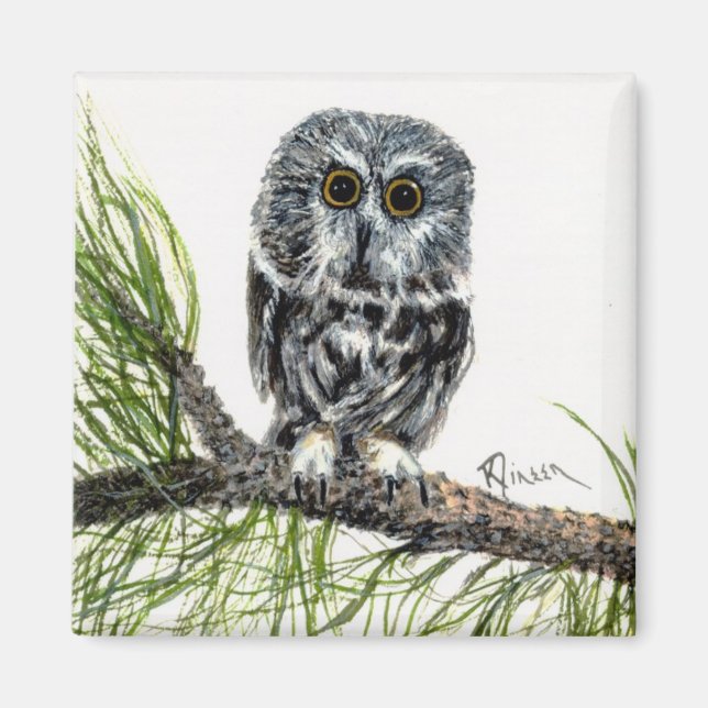 Íman Saw Whet Owl (Frente)