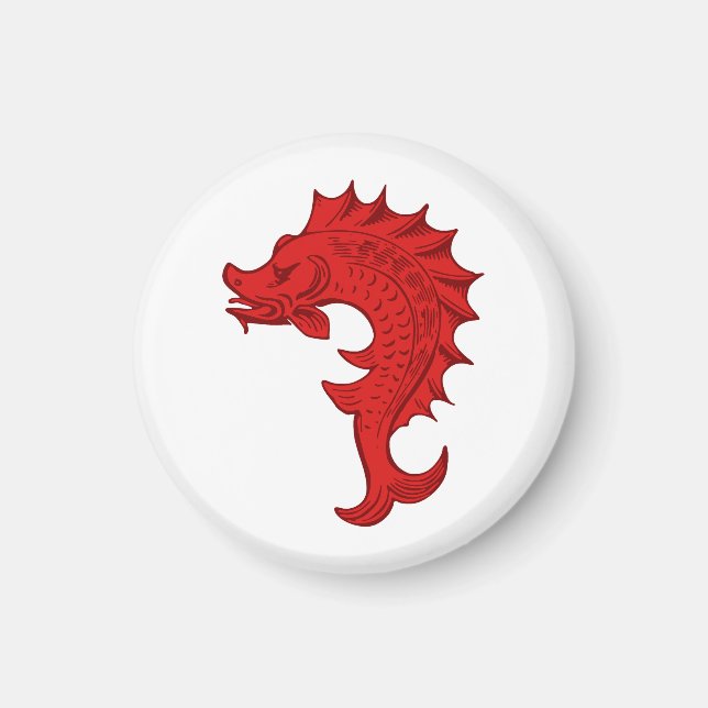 Íman SCA Tir-y-Don Magnet (Frente)