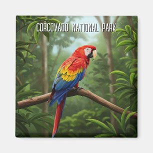 Íman Scarlet Macaw na Viagem do Parque Nacional de Corc