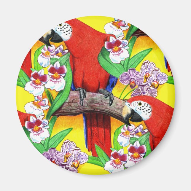 Íman Scarlet McCaw (Frente)