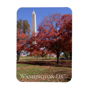 Íman Scenic Autumn Washington D.C. Souvenir 