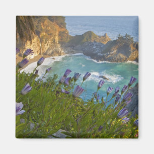 Íman Scenic McWay Cai cai na praia e