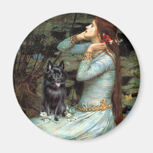 Íman Schipperke 4 - Ophelia Seated