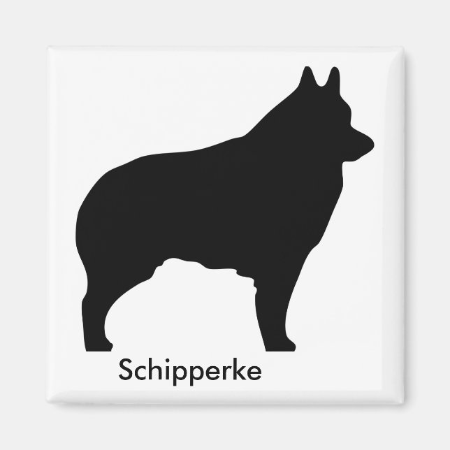 Íman Schipperke Magnet (Frente)