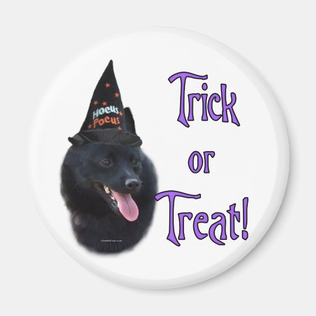 Íman Schipperke Trick (Frente)