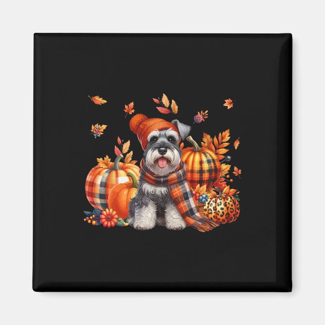 Íman Schnauzer Ação de Graças Leopard Pumpkins Queda (Frente)