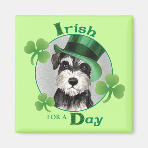 Íman Schnauzer diminuto do dia de St Patrick