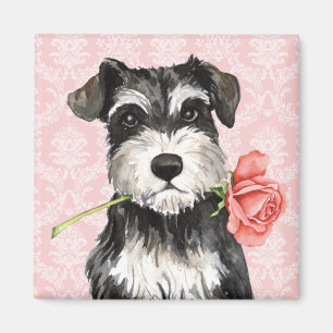 Íman Schnauzer do rosa dos namorados mini