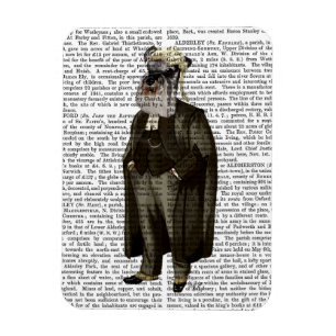 Íman Schnauzer Lawyer