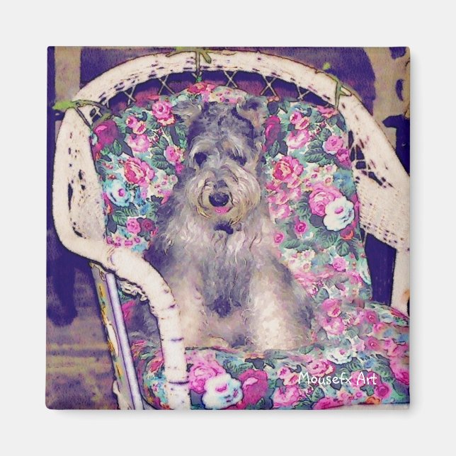 Íman Schnauzer Magnet (Frente)