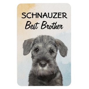 Íman Schnauzer Melhor Magnet Irmão