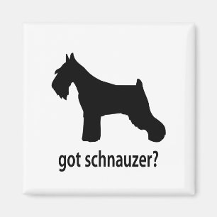 Íman Schnauzer obtido