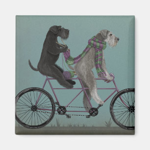 Íman Schnauzer Tandem