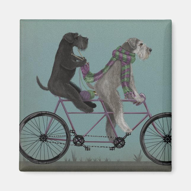 Íman Schnauzer Tandem (Frente)
