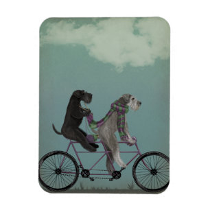 Íman Schnauzer Tandem