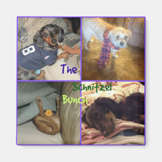 Íman Schnitzel Bunch Magnet