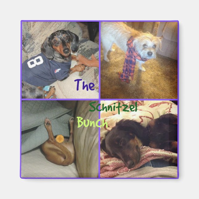 Íman Schnitzel Bunch Magnet (Frente)