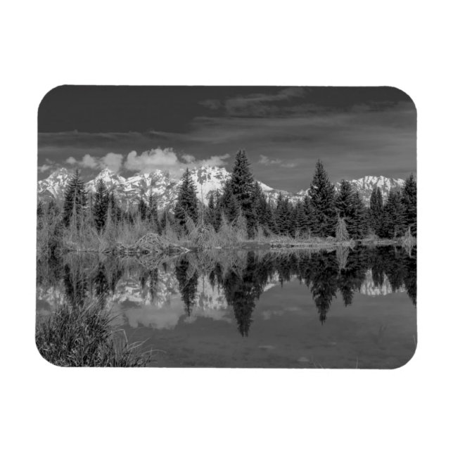 Íman Schwabacher Landing (Horizontal)