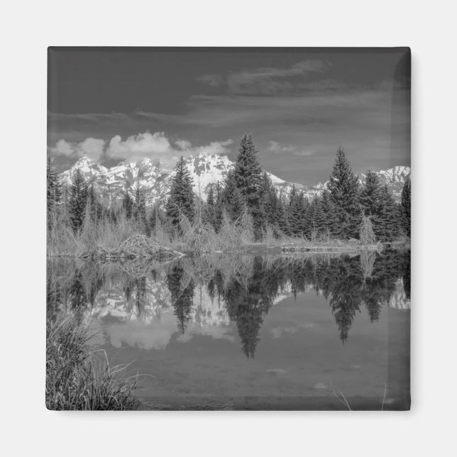 Íman Schwabacher Landing (Frente)