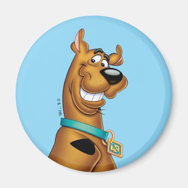 Íman Scooby-Doo Grin (Frente)