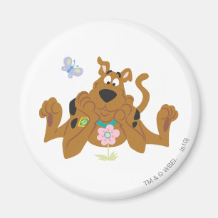 Íman Scooby-Doo que admira a flor