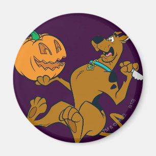 Íman Scooby-Doo que cinzela a abóbora