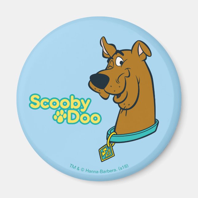 Íman Scooby-Doo Winking (Frente)