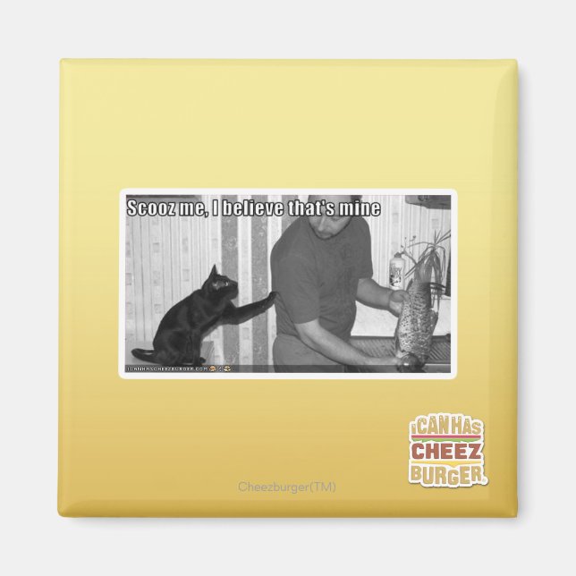 Íman Scooz me, acredito que é meu (Frente)