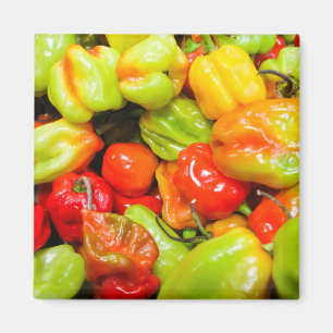 Íman Scotch Bonnet
