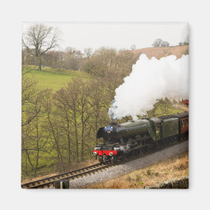 Íman Scotsman do vôo em Goathland
