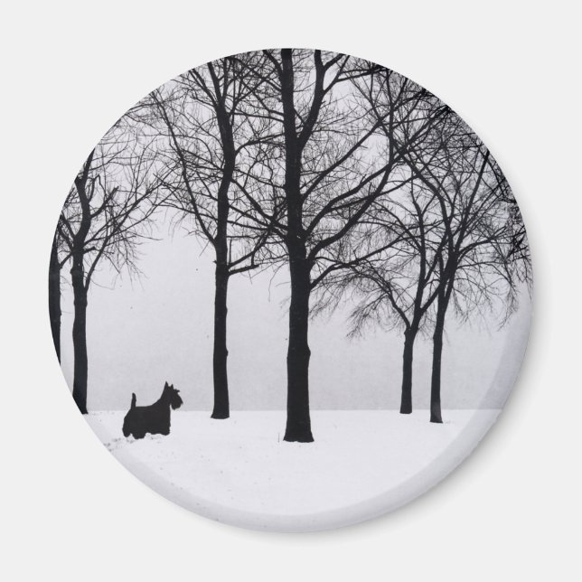 Íman Scottie nas Florestas Nevadas (Frente)