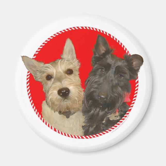 Íman Scotties Trigo de Natal & Pretos (Frente)