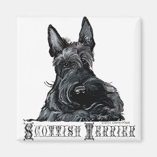 Íman Scottish pequenino Terrier