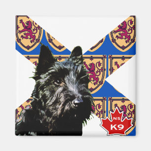 Íman Scottish Terrier de Nova Escócia
