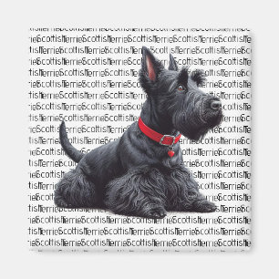 Íman Scottish Terrier in